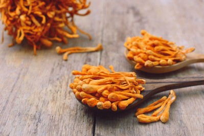 Cordyceps 